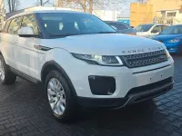 Gebraucht Land Rover Range Rover evoque 150 PS (110 kW) 2017 Weiß SUV