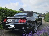 gebraucht Ford Mustang Cabrio V6 US 2015 !KEIN LITAUEN!