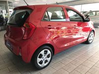 Gebraucht Kia Picanto 67 PS (49 kW) 2017 Rot Kleinwagen