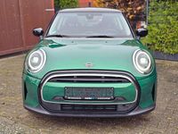 Gebraucht Mini Cooper Classic 136 PS (100 kW) 2023 Grün Kleinwagen