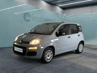 Gebraucht Fiat Panda Easy 69 PS (50 kW) 2021 Grau Kleinwagen