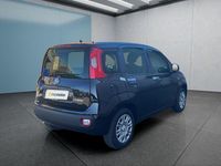 Gebraucht Fiat Panda 69 PS (50 kW) 2025 Schwarz Kleinwagen
