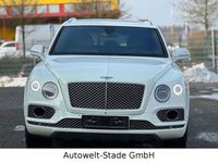 Gebraucht Bentley Bentayga 608 PS (447 kW) 2017 Weiß SUV