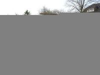 Neu Ford Puma ST-Line 125 PS (91 kW) 2025 Rot SUV