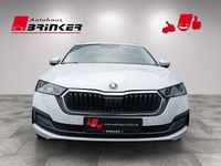 Gebraucht Skoda Octavia Style 204 PS (150 kW) 2021 Weiss Kombi