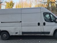 gebraucht Fiat Ducato 2014 Kasten