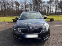 Gebraucht Skoda Octavia Drive 150 PS (110 kW) 2017 Schwarz Kombi