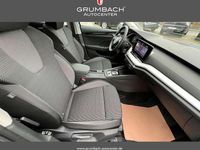 Neu Skoda Octavia 150 PS (110 kW) 2026 8x8x race blue metallic Kombi