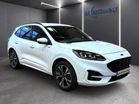 Gebraucht Ford Kuga ST-Line X 152 PS (111 kW) 2021 Weiss SUV