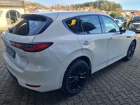 Gebraucht Mazda CX-60 Homura-Line 254 PS (186 kW) 2025 SUV