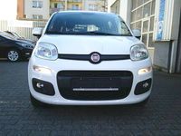 Gebraucht Fiat Panda Lounge 69 PS (50 kW) 2020 Weiß Kleinwagen