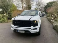 Gebraucht Ford F-150 STX 401 PS (294 kW) 2023 Weiß Pickup
