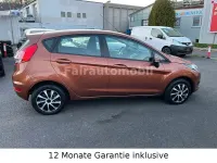 Gebraucht Ford Fiesta Trend 80 PS (58 kW) 2014 Braun Kleinwagen