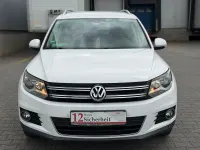 Gebraucht VW Tiguan Sportline 110 PS (80 kW) 2014 Weiß SUV