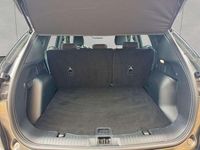 Gebraucht Ford Kuga ST-Line 151 PS (111 kW) 2024 Grau SUV