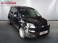 Gebraucht Fiat Panda 69 PS (50 kW) 2025 Cinema schwarz Kleinwagen