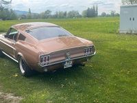 Gebraucht Ford V8 Fastback 203 PS (149 kW) 1967 Gold Coupé