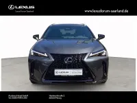 Neu Lexus UX 300h Sport Design Packet 199 PS (146 kW) 2026 Grau SUV