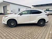 Gebraucht Lexus NX300h 197 PS (144 kW) 2021 Weiß SUV