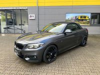 Gebraucht BMW 230 M Sport 252 PS (185 kW) 2018 Grau Cabrio