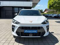 Neu Cupra Terramar VZ 265 PS (194 kW) 2025 Glacial weiß metallic SUV