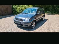 Gebraucht Ford Fusion 80 PS (58 kW) 2004 Grau Kleinwagen