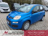 Neu Fiat Panda Pop 69 PS (50 kW) 2025 Blau Kleinwagen