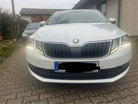 Gebraucht Skoda Octavia Drive 150 PS (110 kW) 2017 Weiß Kombi
