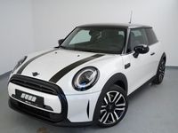 Gebraucht Mini Cooper 136 PS (100 kW) 2024 Weiß Kleinwagen