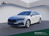 Gebraucht Skoda Octavia Clever 116 PS (85 kW) 2022 Weiß Kombi