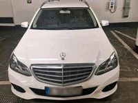 Gebraucht Mercedes E220 Avantgarde 170 PS (125 kW) 2015 Weiß Kombi