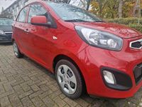 Gebraucht Kia Picanto 69 PS (50 kW) 2011 Rot Kleinwagen