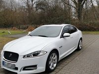 Używany Jaguar XF 241 KM (177 kW) 2014 Biały Sedan/Limuzyna