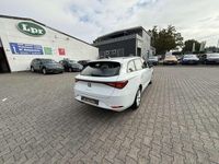 Gebraucht Seat Leon Style 150 PS (110 kW) 2022 Nevada white Kombi