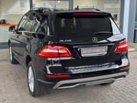 Gebraucht Mercedes ML250 204 PS (150 kW) 2012 Schwarz SUV