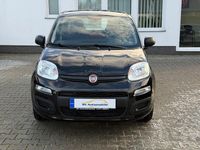Gebraucht Fiat Panda Pop 69 PS (50 kW) 2016 Schwarz Kleinwagen