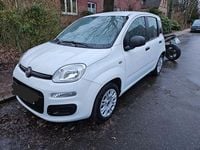 Gebraucht Fiat Panda Easy 69 PS (50 kW) 2017 Weiß Kleinwagen