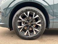 Gebraucht Cupra Terramar 150 PS (110 kW) 2024 Blau SUV