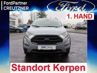 Gebraucht Ford Ecosport Active 125 PS (91 kW) 2021 Silber SUV