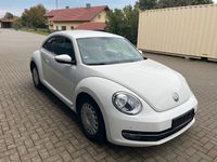 Gebraucht VW Beetle Design 105 PS (77 kW) 2012 Candyweiß Kleinwagen
