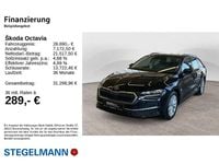 Gebraucht Skoda Octavia Selection 150 PS (110 kW) 2025 Schwarzmagic perleffekt Kombi