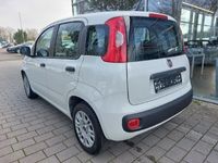 gebraucht Fiat Panda Pop 1,2 Radio, Klima, ZV...