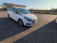 Gebraucht Ford S-MAX Business Edition 179 PS (131 kW) 2019 Weiß Van / Kleinbus
