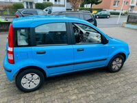 gebraucht Fiat Panda 1.1 KEIN KLIMA !!