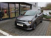 Neu Kia Picanto Vision 68 PS (50 kW) 2026 Grau Kleinwagen