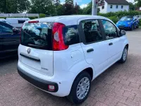 Neu Fiat Panda 65 PS (47 kW) 2026 Weiß Kleinwagen