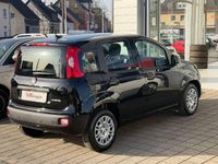 Neu Fiat Panda Icon 65 PS (47 kW) 2026 Passione rot Kleinwagen