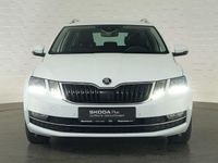 Gebraucht Skoda Octavia Premium Edition 150 PS (110 kW) 2019 Weiss Kombi