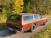 Gebraucht Oldsmobile Custom Cruiser 141 PS (103 kW) 1989 Beige Kombi
