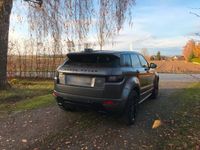 gebraucht Land Rover Range Rover evoque TD4 Aut. Autobiography